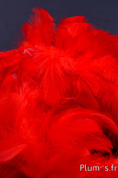 Henne - 5-9 cm - rot